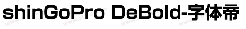 shinGoPro DeBold字体转换
